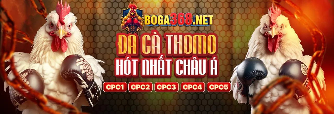 Đá gà trực tuyến suncity88 2026